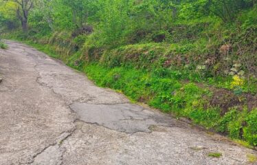 İŞTE ARADINIZ BAHÇE