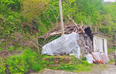 İŞTE ARADINIZ BAHÇE