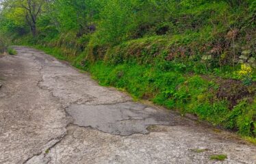 İŞTE ARADINIZ BAHÇE