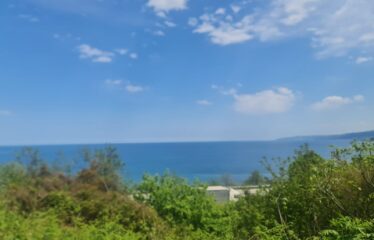 KARABURUN KÖYÜNDE SATILIK ARAZİ