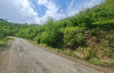 KARABURUN KÖYÜNDE SATILIK ARAZİ