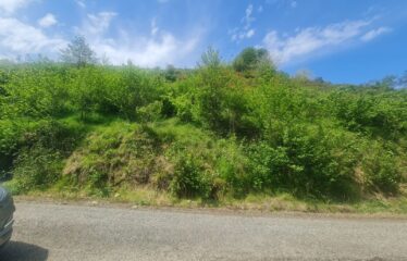 KARABURUN KÖYÜNDE SATILIK ARAZİ