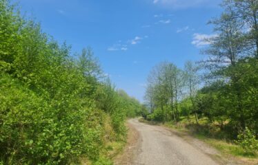 KARABURUN KÖYÜNDE SATILIK ARAZİ