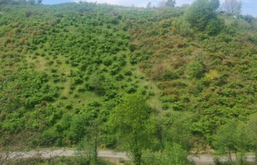KARABURUN KÖYÜNDE SATILIK ARAZİ