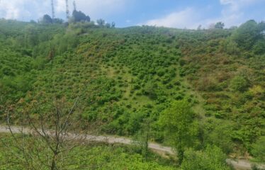 KARABURUN KÖYÜNDE SATILIK ARAZİ