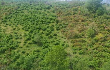 KARABURUN KÖYÜNDE SATILIK ARAZİ