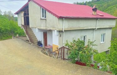 Bozcaali Mahallesinde 2 katlı komple bina ve 7,461 Dönüm Fındık Bahçesi