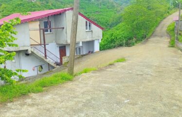 Bozcaali Mahallesinde 2 katlı komple bina ve 7,461 Dönüm Fındık Bahçesi