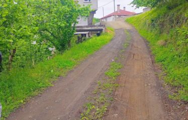 Bozcaali Mahallesinde 2 katlı komple bina ve 7,461 Dönüm Fındık Bahçesi