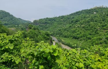ÇAVUŞLU ORTA MAHALLEDE SATILIK ARAZİ