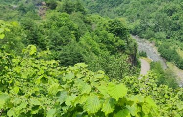 ÇAVUŞLU ORTA MAHALLEDE SATILIK ARAZİ