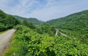 ÇAVUŞLU ORTA MAHALLEDE SATILIK ARAZİ