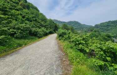 ÇAVUŞLU ORTA MAHALLEDE SATILIK ARAZİ