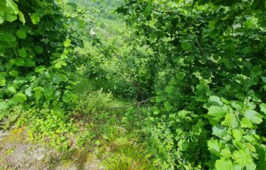 ÇAVUŞLU ORTA MAHALLEDE SATILIK ARAZİ