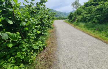 ÇAVUŞLU ORTA MAHALLEDE SATILIK ARAZİ