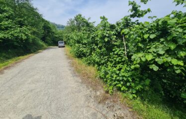 ÇAVUŞLU ORTA MAHALLEDE SATILIK ARAZİ