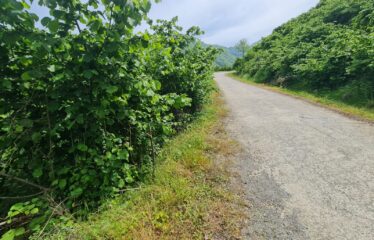 ÇAVUŞLU ORTA MAHALLEDE SATILIK ARAZİ