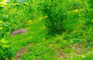 KEKİTTEPE KÖYÜNDE 1,515 M2 SATILIK ARAZİ