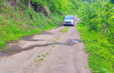 KEKİTTEPE KÖYÜNDE 972 SATILIK FINDIK BAHÇESİ