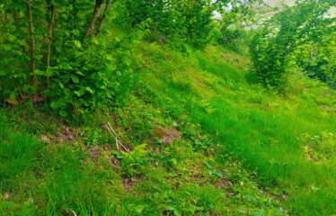 KEKİTTEPE KÖYÜNDE 1,515 M2 SATILIK ARAZİ