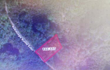 KEKİTTEPE KÖYÜNDE 972 SATILIK FINDIK BAHÇESİ