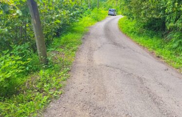 KUŞÇULU KÖYÜNDE SATILIK FINDIK BAHÇESİ