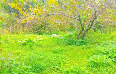 ÇEŞMEBAŞI MAHALLESİNDE DÜZ 3 KATLI İMARLI ARSA