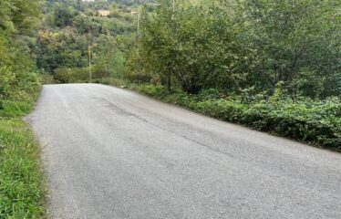 ÇAVUŞLU ORTA MAHALLEDE SATILIK FINDIK BAHÇESİ