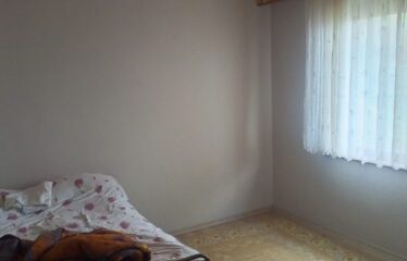 GÜNEY KÖYÜNDE İÇERİŞİNDE EVİ BULUNAN ARAZİ