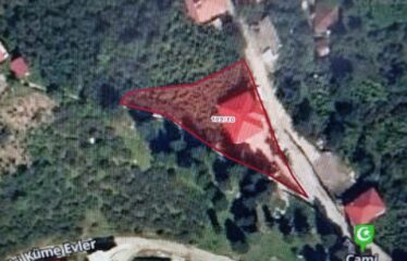 GÜNEY KÖYÜNDE İÇERİŞİNDE EVİ BULUNAN ARAZİ