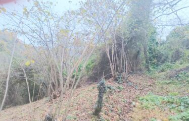 İŞMAİLBEYLİ KÖYÜNDE 952 M SATILIK ARAZİ