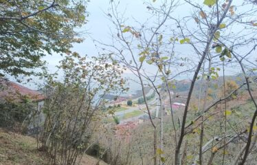 İŞMAİLBEYLİ KÖYÜNDE 952 M SATILIK ARAZİ