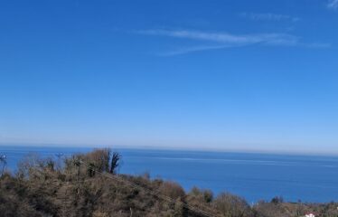 KARABURUN KÖYÜNDE HARİKA DENİZ MANZARASINA SAHİP 3,691 M2 SATILIK ARAZİ