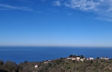 KARABURUN KÖYÜNDE HARİKA DENİZ MANZARASINA SAHİP 3,691 M2 SATILIK ARAZİ