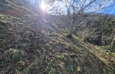 KARABURUN KÖYÜNDE HARİKA DENİZ MANZARASINA SAHİP 3,691 M2 SATILIK ARAZİ