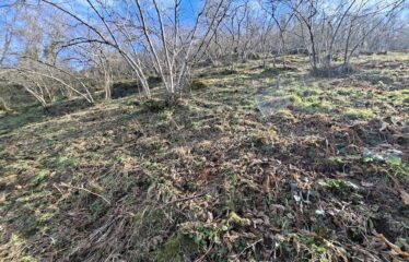 KARABURUN KÖYÜNDE HARİKA DENİZ MANZARASINA SAHİP 3,691 M2 SATILIK ARAZİ