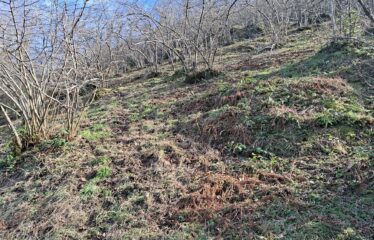 KARABURUN KÖYÜNDE HARİKA DENİZ MANZARASINA SAHİP 3,691 M2 SATILIK ARAZİ