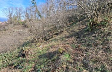 KARABURUN KÖYÜNDE HARİKA DENİZ MANZARASINA SAHİP 3,691 M2 SATILIK ARAZİ