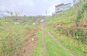 İŞTE ARADINIZ DENİZ MANZARALI SATILIK FINDIK BAHÇESİ