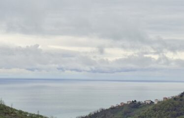 İŞTE ARADINIZ DENİZ MANZARALI SATILIK FINDIK BAHÇESİ