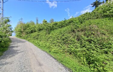KARABURUN KÖYÜNDE İKİ YOL ARASINDA SATILIK ARAZİ