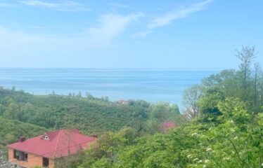 KARABURUN KÖYÜNDE İKİ YOL ARASINDA SATILIK ARAZİ