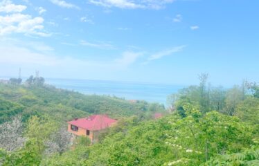 KARABURUN KÖYÜNDE İKİ YOL ARASINDA SATILIK ARAZİ