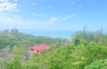 KARABURUN KÖYÜNDE İKİ YOL ARASINDA SATILIK ARAZİ