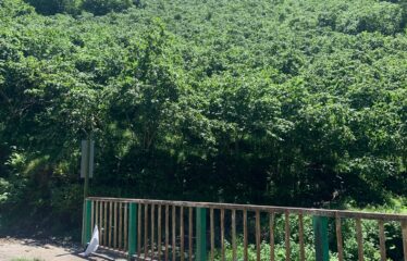 KIRIKLI KÖYÜNDE 2,577M2 SATILIK ARAZİ