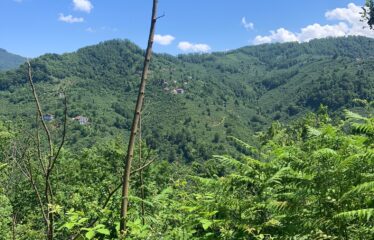 KIRIKLI KÖYÜNDE 2,577M2 SATILIK ARAZİ