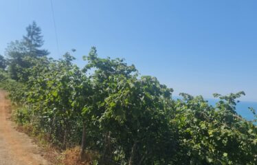 BOZCAALİ MAHALLESİNDE 9,427 M SATILIK ARAZİ