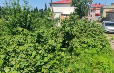 KUŞÇULU KÖYÜNDE HARİKA DENİZ MANZARASINA SAHİP 885 M2 SATILIK