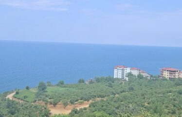 KABA MAHALLESİNDE 431 M2 SATILIK ARSA