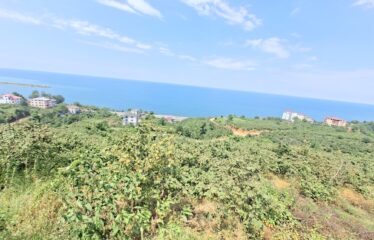 KABA MAHALLESİNDE 431 M2 SATILIK ARSA